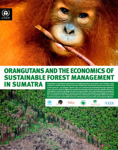 Cartel denunciando la degradación del ecosistema, el bosque y el hábitat del Orangután. fuente http://www.orangutanreport.un-grasp.org/orangutan