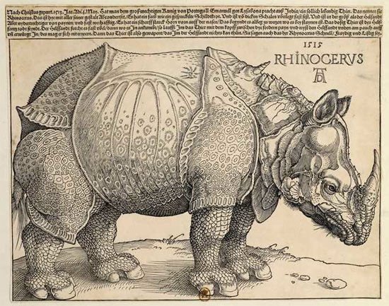 El Rinoceronte. Alberto Durero. 1515