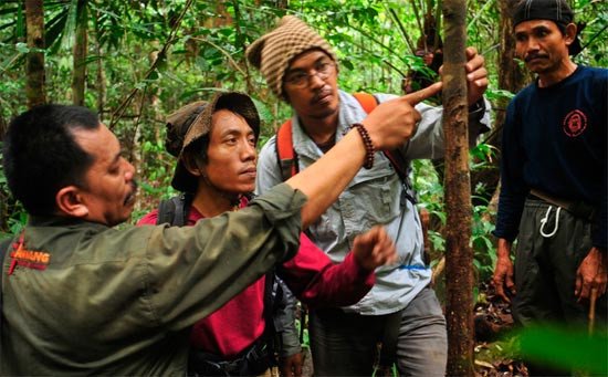Expertos examinan huellas de cuerno de rinoceronte sobre un árbol. WWF-Indonesia