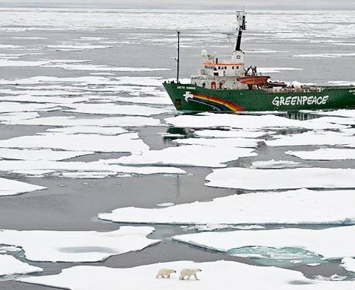 Osos polares sobre una plataforma de hielo, en el Ártico.