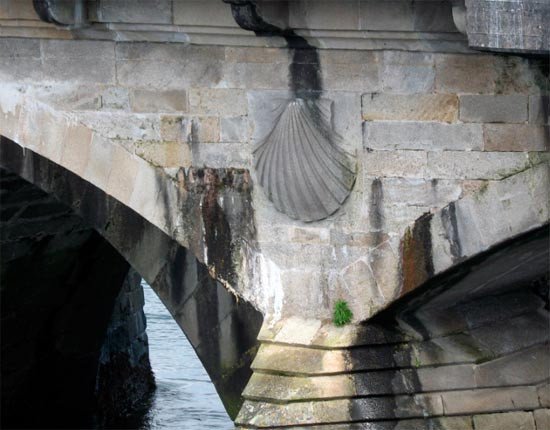 Las vieiras que decoran el puente del Burgo, nos recuerdan esa tradición jacobea que impregna la historia de Pontevedra.