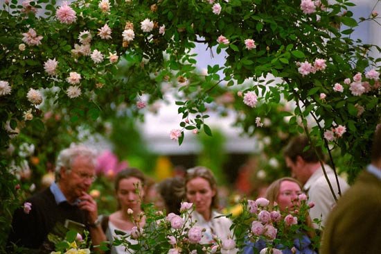 Visitors at The Royal Horticultural Society Chelsea Flower Show, Chelsea, London. Troik