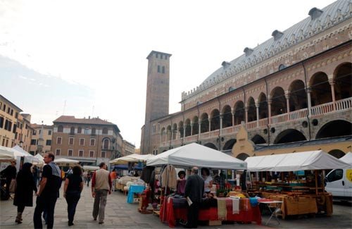 El Palazzo della Ragione está rodeado de una activa vida comercial, en medio de las plazas de las Hierbas y de la Fruta.