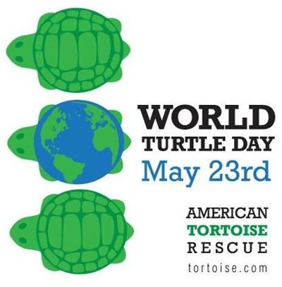 Cartel del Día Mundial de la Tortuga, una iniciativa de la American Tortoise Rescue.