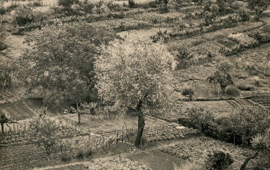 Siena, Italia. 1975. Emmet Gowin