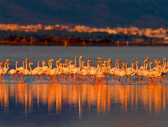 Tierras del Ebro, España © UNESCO/CODE.