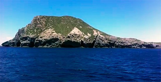 World Wildlife Fund (WWF) y la Asociación de Naturalistas del Sureste (ANSE) participan en una acción de defensa del Mar Menor y la Isla Grosa.