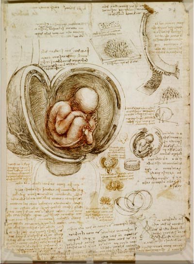 El feto en el útero, c.1511. Copyright Royal Collection Trust / (C) Her Majesty Queen Elizabeth II 2013 