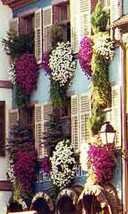 En esta bella ciudad alsaciana abundan las casas tradicionales repletas de flores. Foto guiarte. Copyright