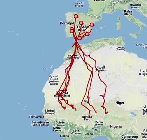 Mapa de rutas de las águilas calzadas que está siguiendo SEOBirdLife. http://www.migraciondeaves.org/