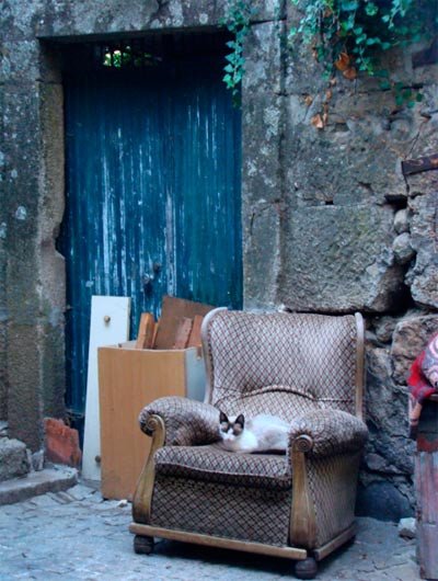 Un gato descansa cómodamente en un sofá en el casco antiguo de Viseo. Guiarte.com
