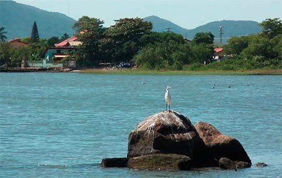 Paisaje en el entorno de Florianópolis, Brasil. Imagen de Guiarte.com