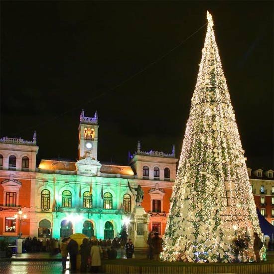 Un gran árbol navideño adorna la Plaza Mayor de Valladolid.