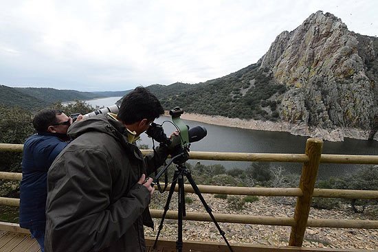 Extremadura: paraíso de las aves 