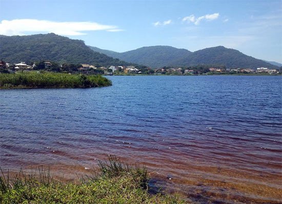 La pequeña laguna de Campeche. Imagen de Guiarte.com.