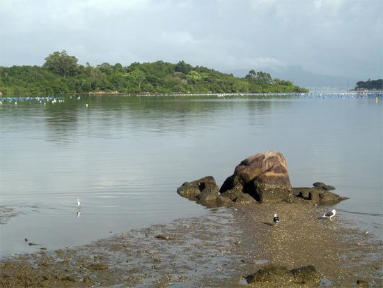 La costa de Ribeirão hace recordar al viajero las rías gallegasImagen Tomás Alvarez. Guiarte.com
