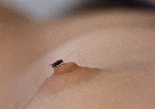 Fotograma de Mosca (Fly), 1970. Yoko Ono.