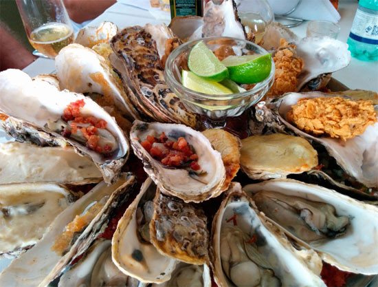 Las famosas ostras de Ribeirao da Ilha, al sur de Florianópolis. Imagen de  Guiarte.com