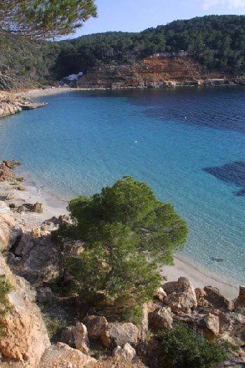 Cala Salada, en Sant Antoni de Portmany. Foto Turismo de Ibiza.