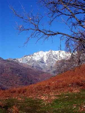 La sierra de Gredos es un marco agreste para Candeleda.