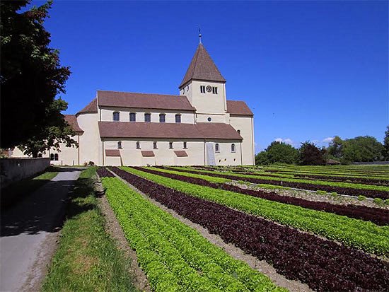 La iglesia de San Jorge emerge entre las plantaciones de lechugas, en Reichenau. Imagen de guiarte.com