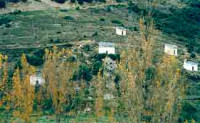 Palomares en Robledo de Losada...