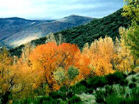 La Cabrera en otoño. Paisaje e...