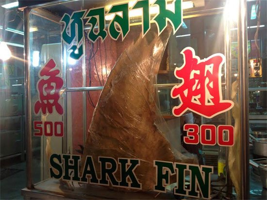 Un restaurante de Chinatown (Bangkok) ofrece aleta de tiburón.© Carmen Arufe/WWF España