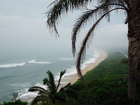 La solitaria playa de Armaçao se pierde entre la bruma y una densa vegetación. Guiarte.com