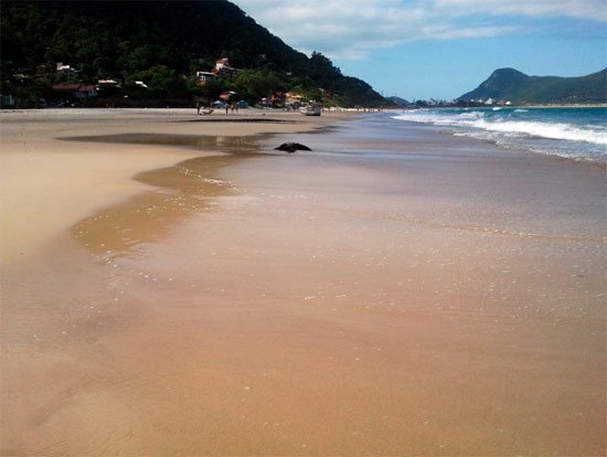 La extraordinaria arena de la playa de Solidão, al sur de Pantano do Sul. Guiarte.com