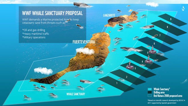 Mapa del santuario para ballenas que propone WWF. Foto WWF-Canon.