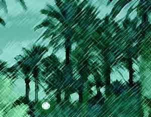 Elche, un oasis lleno de palmeras.