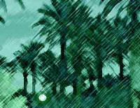 Elche, un oasis lleno de palme...