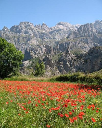 Paisaje en Cordiñanes, León. Parque Nacional de los Picos de Europa, el primer espacio de este tipo creado en España. imagen de Guiarte.com 