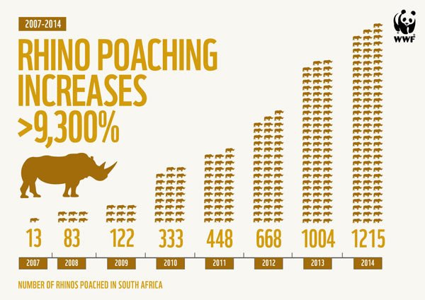 El gráfico muestra el aumento de la caza furtiva de rinocerontes en Sudáfrica en los últimos ocho años. WWF-UK
