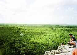 La jungla es un mar verde, desde la pirámide de Cobá, un mar que esconde lagos y más monumentos mayas. Foto Alfonso García-guiarte. Copyright