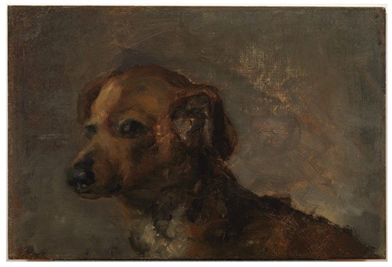 Picasso. Cliper, el perro del artista. A Coruña. 1895.