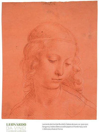 Cabeza de joven. 1500-1510. Leonardo da Vinci.