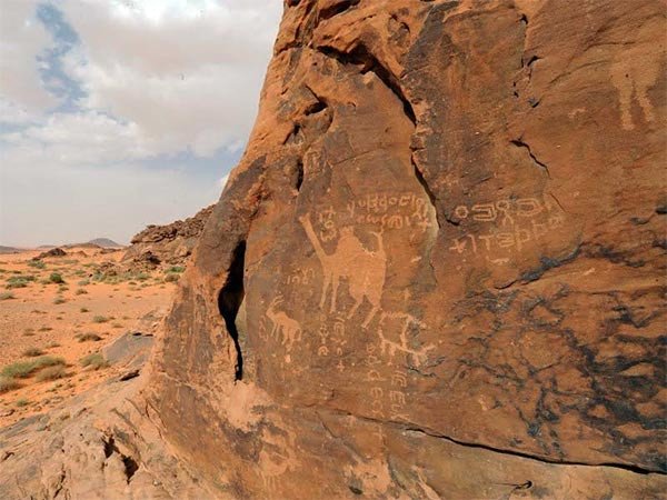 Imágenes, con camello y orix, en una roca vertical de las colinas de Umm Sinman, junto con varias inscripciones  © Comisión Saudí para el Turismo y Antigüedades / UNESCO