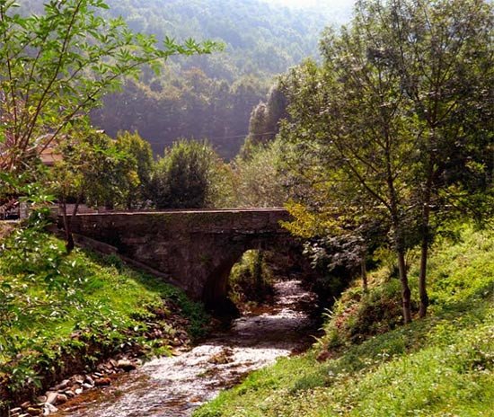 Desde Triacastela, el valle verdeante del rio Oribio nos conduce hacia Samos. Imagen de José Holguera (www.grabadoyestampa.com) para Guiarte.com.