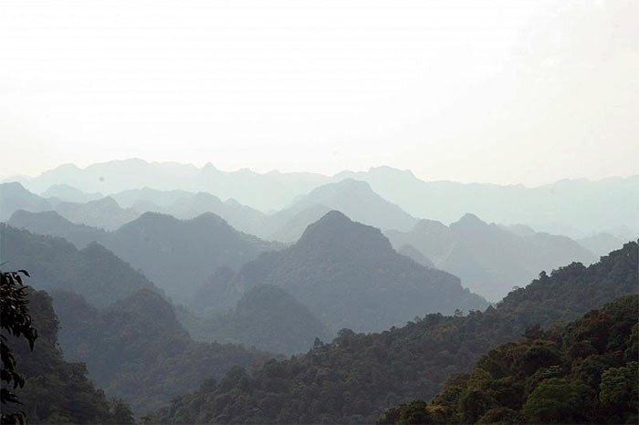 Los bosques cubren este espacio de las montañas Annamitas, en el Parque Nacional Phong Nha-Ke Bang de Vietnam. © Phong Nha - Ke Bang National Park/UNESCO