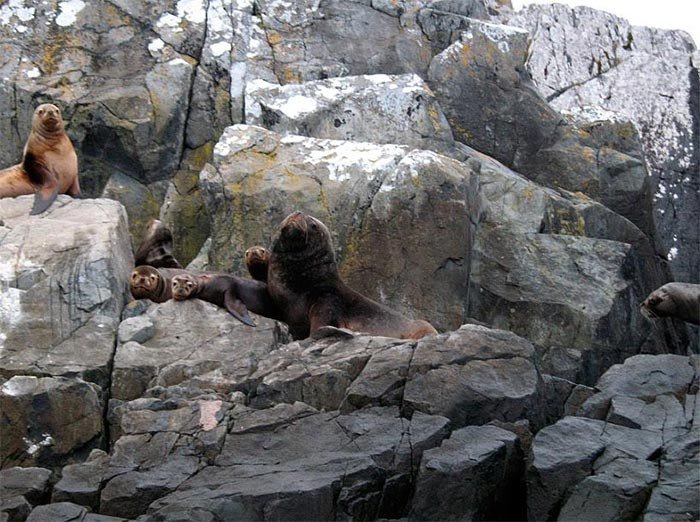 El Cabo de Hornos tiene la riqueza del enclave natural y el encanto de lo mítico. Imagen de Guiarte.com 