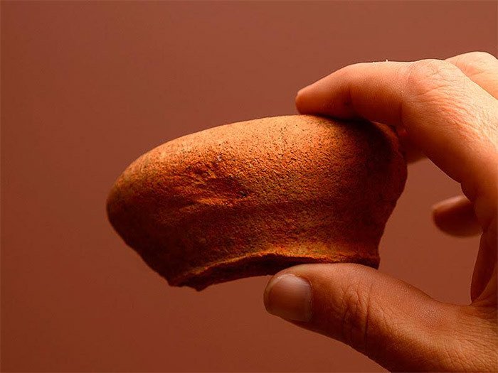 Tom Garner sostiene un fragmento de un jarro descubierto en el asentamiento y correspondiente al siglo XVI. Imagen http://uwf.edu/