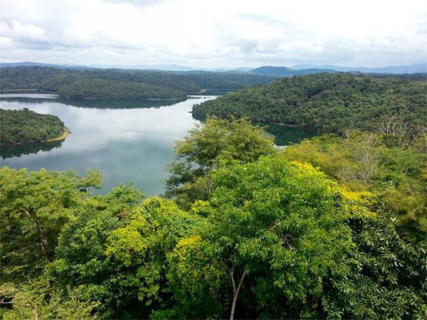 El Parque Estadual do Rio Doce alberga una extraordinaria serie de lagos y la mejor Mata Atlántica brasileña. Ramsar World Wetlands Day 2015/ Caldeira Claudiano