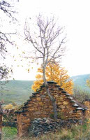 Pajar en Villar del Monte. Ima...