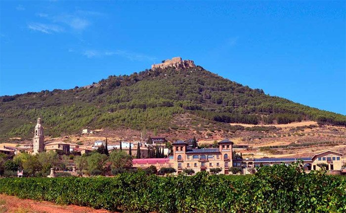 Monjardín, con su castillo, en Navarra, entre viñedos.Imagen de Jose Holguera para Guiarte.com