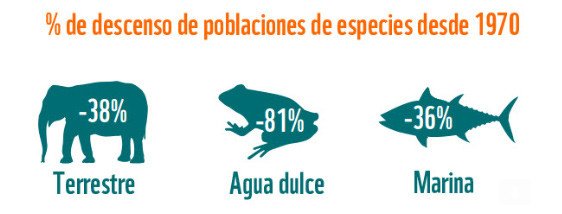 La pérdida de su hábitat y la pesca insostenible son las dos grandes amenazas para todas las especies. Gráfico WWF. 