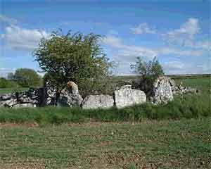 Ruyales del Páramo es una localidad burgalesa del municipio de Huérmeces. Allí también se hallan estructuras megalíticas. Foto de Miguel Moreno/guiarte.com