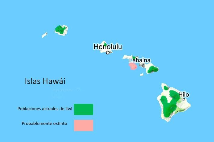 Territorios ocupados por el iiwi, en las Islas Hawái. Fuente BirdLife