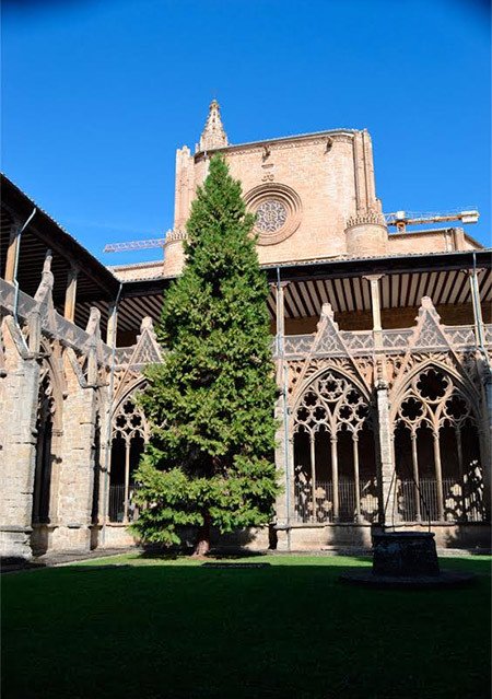 Claustro de la catedral de Pamplona, en el Camino Francés. Imagen del grabador  José Holguera para Guiarte.com